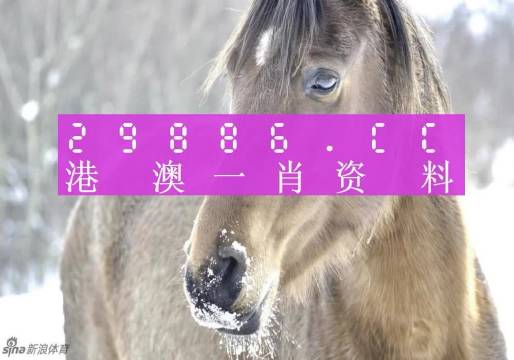 澳门一肖一码100%准确，精选解释解析落实