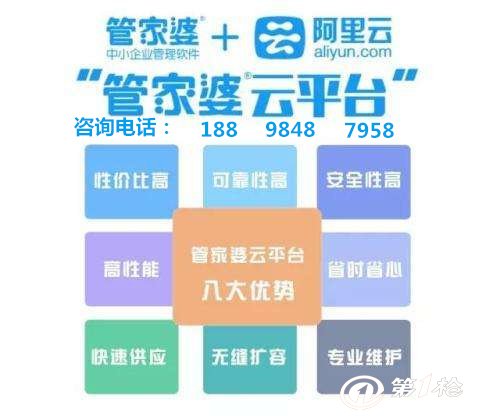 管家婆的资料一肖中特解析与落实策略，第985期深度探讨