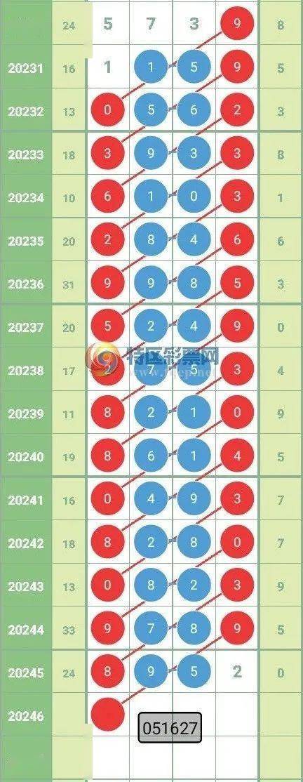 白小姐今晚特马期期准，解析与落实策略（精选解释解析落实）