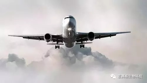 马航MH370最新消息2024，持续寻找，期待真相
